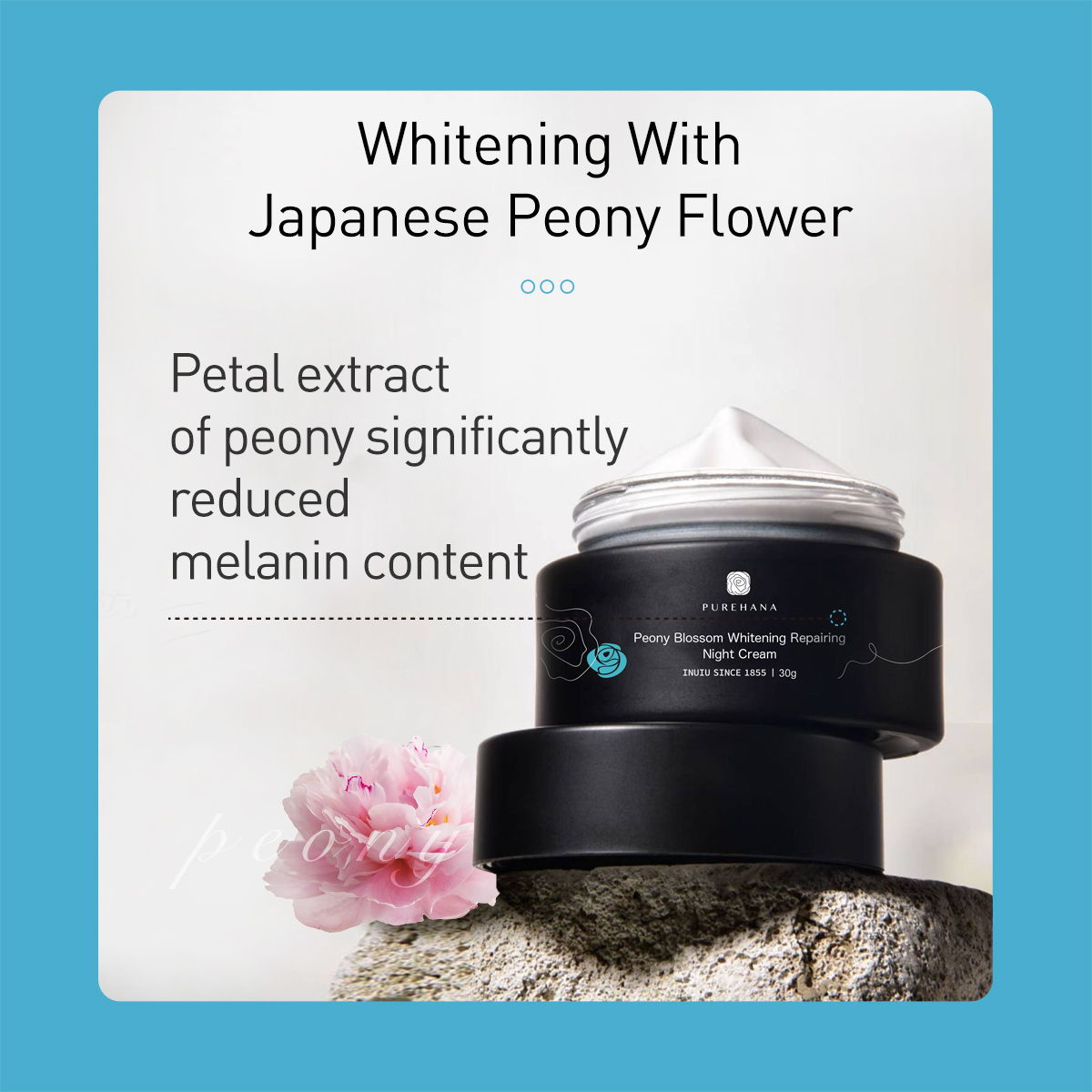 PURE HANA Peony Blossom Whitening Repairing Night Cream